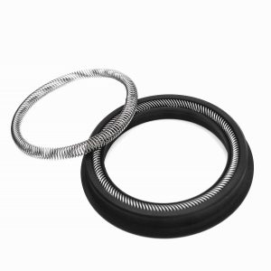 Canted Coil Springs